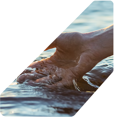 Um processo consciente